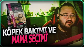 Jahrein Köpek Bakımı Ve Doğru Mama Seçimi [upl. by Fita]