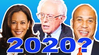 Who Will Challenge Trump In 2020 [upl. by Madelene135]