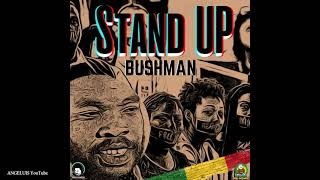 Bushman  Stand Up Irie Sounds InternationalJah Wayne Records Release 2021 [upl. by Flodur812]