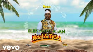 Elephant Man Panta Son  Neat amp Tight Official Audio [upl. by Quickman]