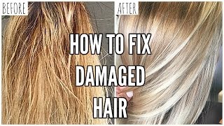 How To Fix EXTREMELY Damaged Hair At Home [upl. by Arvin]