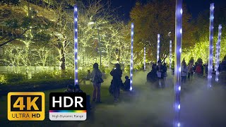 Tokyo Midtown Winter Lights  4K HDR [upl. by Gladstone955]