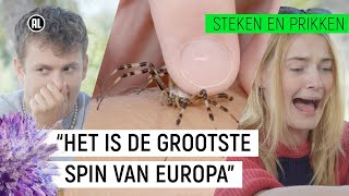 PRESENTATOR DURFT VOOR HET EERST NIET GEBETEN TE WORDEN  Steken en Prikken S2 9  NPO Zapp [upl. by Nairadas]