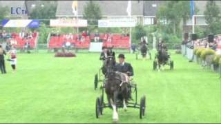 Concours hippique Buitenpost sport cultuur en traditie [upl. by Llertnor]