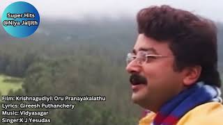 Pinneyum Pinneyum Aro Kinavinte  Krishnagudiyil Oru Pranayakalathu  Super HitsNiyaJaljith [upl. by Neeluj]