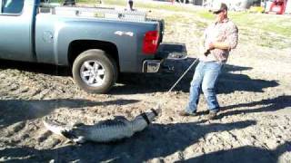 Polysius  Amerafa  Getting the gator onto a pickup [upl. by Kcin]