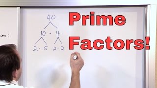 Prime Factorization  5th Grade Math  Finding Factors of a Number Factoring  Math Homework Help [upl. by Catherin326]