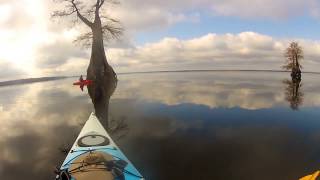 Paddling the Great Dismal Swamp  February 2013 [upl. by Ititrefen633]