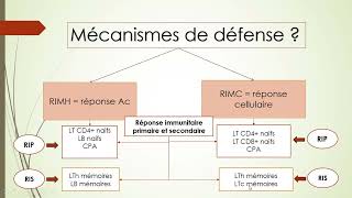 Réponse immunitaire à médiation humorale et à médiation cellulaire [upl. by Ecnedac]