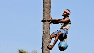 Jaggery Brown Sugar production from palm trees [upl. by Yzeerb22]