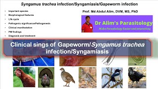 Syngamys tracheaGapeworm infectionSyngamiasis Clinical signs [upl. by Tirrag]