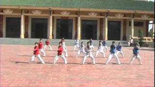 Dong mau lac hong  Taekwondo [upl. by Siol]