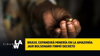 Brasil expandirá minería en la Amazonía mientras hay alerta por deforestación [upl. by Irme]