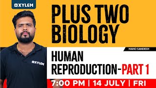 Plus Two Biology  Human Reproduction  Part 1  Xylem Plus Two [upl. by Rahs]