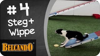 BELCANDO  Agility  Vom Junghund zum Sporthund 4 Steg und Wippe [upl. by Yssep]