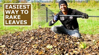 EASIEST Way to Rake Fallen Leaves [upl. by Onitsuaf]