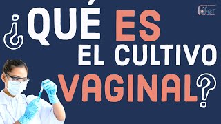 🛑🛑 ¿Qué es el CULTIVO Vaginal [upl. by Iz]