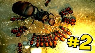 The Ant Queen  Empires Of The Undergrowth  Ep2 [upl. by Valeria977]