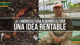 La Lombricultura o Vermicultura Una Idea Rentable  TvAgro por Juan Gonzalo Angel [upl. by Ayekehs]