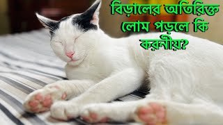 বিড়ালকে কিভাবে যত্ন নিলে বিড়ালের লোম ঝরা সমস্যা থেকে সমাধান পাওয়া যাবেCute Cat Videos  Cat Video [upl. by Eintruok987]