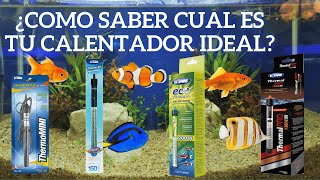 ¿Cuál es el calentador ideal para tu acuario  Preguntas y respuestas [upl. by Ayo439]