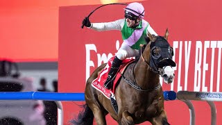 LAUREL RIVER Tadhg O’Shea  G1 Dubai World Cup [upl. by Yrojram]