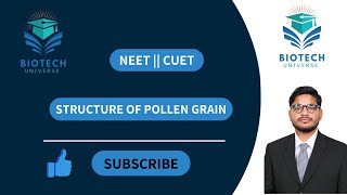 Structure of Pollen Grain  NEET  CUET  Pollen Grain [upl. by Brezin]