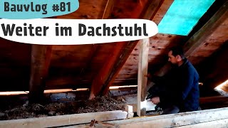 Drempel bauen  Fundament gießen  Brombeeren  Bauvlog 81 [upl. by Catriona]