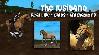 Lusitano Gaits Animations amp Real Life [upl. by Anaeda439]