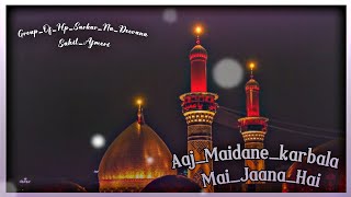 ❤️‍🔥✨🙌🏻 Aaj main Jaane Karbala Mein Jana Hai qawali soon GroupOfHpSarkarNaDeevana ❤️‍🔥✨🙌🏻 [upl. by Conni]