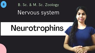 Neurotrophins  Nervous system  B Sc amp M Sc  Zoology [upl. by Samuele824]