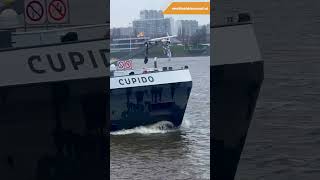 Binnenvaartschip Cupido Antwerpen schelde wereldvandebinnenvaart binnenvaart scheepvaart [upl. by Christmann54]