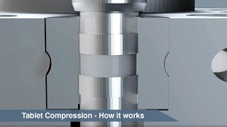 Tablet Compression  How it works animation [upl. by Darbie827]