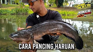 CARA MANCING HARUAN [upl. by Zsa527]