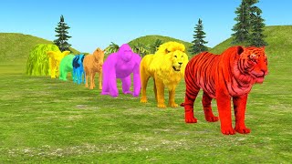 Long Slide Game With Elephant Gorilla Buffalo Hippopotamus Tiger  3d Animal Game  Funny 3d Animals [upl. by Lorie]