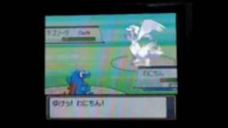 WILD RESHIRAM APPEARS IN SOULSILVER [upl. by Noived]