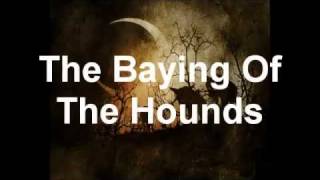 Opeth  The Baying Of The Hounds VST cover [upl. by Millburn]