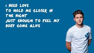 Mirrors  Niall Horan Lyrics [upl. by Klehm]