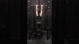 Scapular Pullups [upl. by Ferdinana]