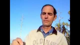 How to Make Spagyric Tinctures  Herbal Extracts Essences herbs cure uses  the Solar Institute [upl. by Ellyn]