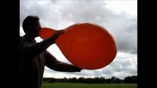 balloon blow to pop  Everts 18quot [upl. by Nuhsed]