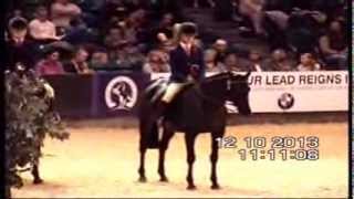 Henrietta WindsorPhillips riding WesswoodCasteASpell ISRT winner HOYS 2013 [upl. by Ahsieym]