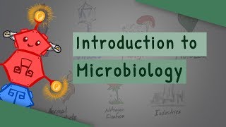 Introduction To Microbiology [upl. by Hoffert224]