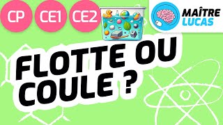 Coule ou flotte  CP  CE1  CE2  Cycle 2  Questionner le monde  Sciences [upl. by Ekusuy521]