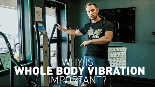 Why is Whole Body Vibration Important [upl. by Tuinenga894]