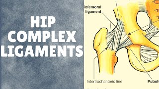 Ligaments of hip complex  With applied aspects [upl. by Edelson]