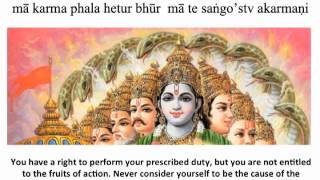 Bhagavad Gita Chapter 2  Verse 47 [upl. by Ardnohsal416]