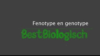 Fenotype en Genotype [upl. by Fineman]