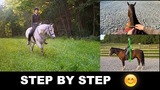 HOW TO RIDE A HORSE FOR BEGINNERS STEP BY STEP 🐎 [upl. by Innig540]