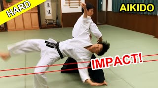 Impact Hard Aikido techniques [upl. by Mallissa470]